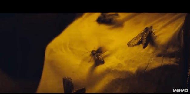 Screen Shot 2015-12-01 at 4.04.08 AM.png