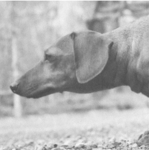 Essentials: “Monday” –&nbsp;Photay